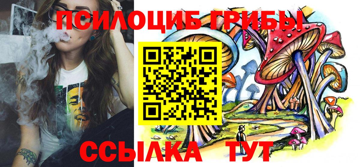 Белгород  Галлюциногенные грибы прущие грибы  Галлюциногенные грибы Psilocybe  Вход с VPN 